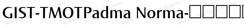 GIST-TMOTPadma Norma字体转换